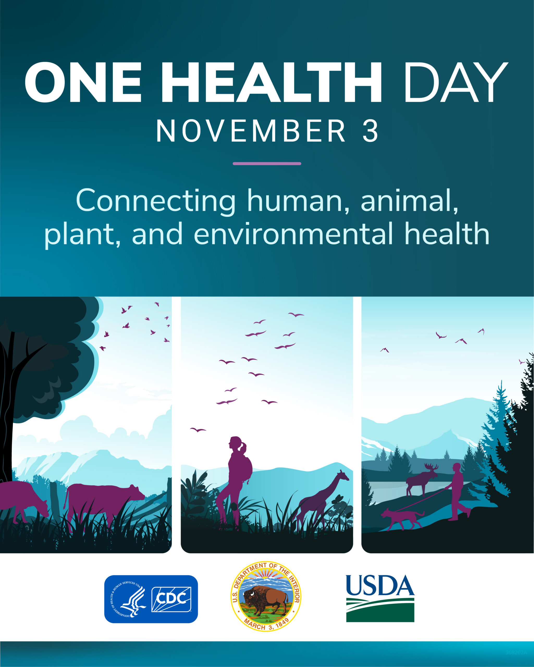 Three panel One Health banner depicting connections with cows grazing, a person hiking by some giraffes and another person walking their dog. Text reads, One Health Day, November 3. Connecting human, animal, plant and environmental health.