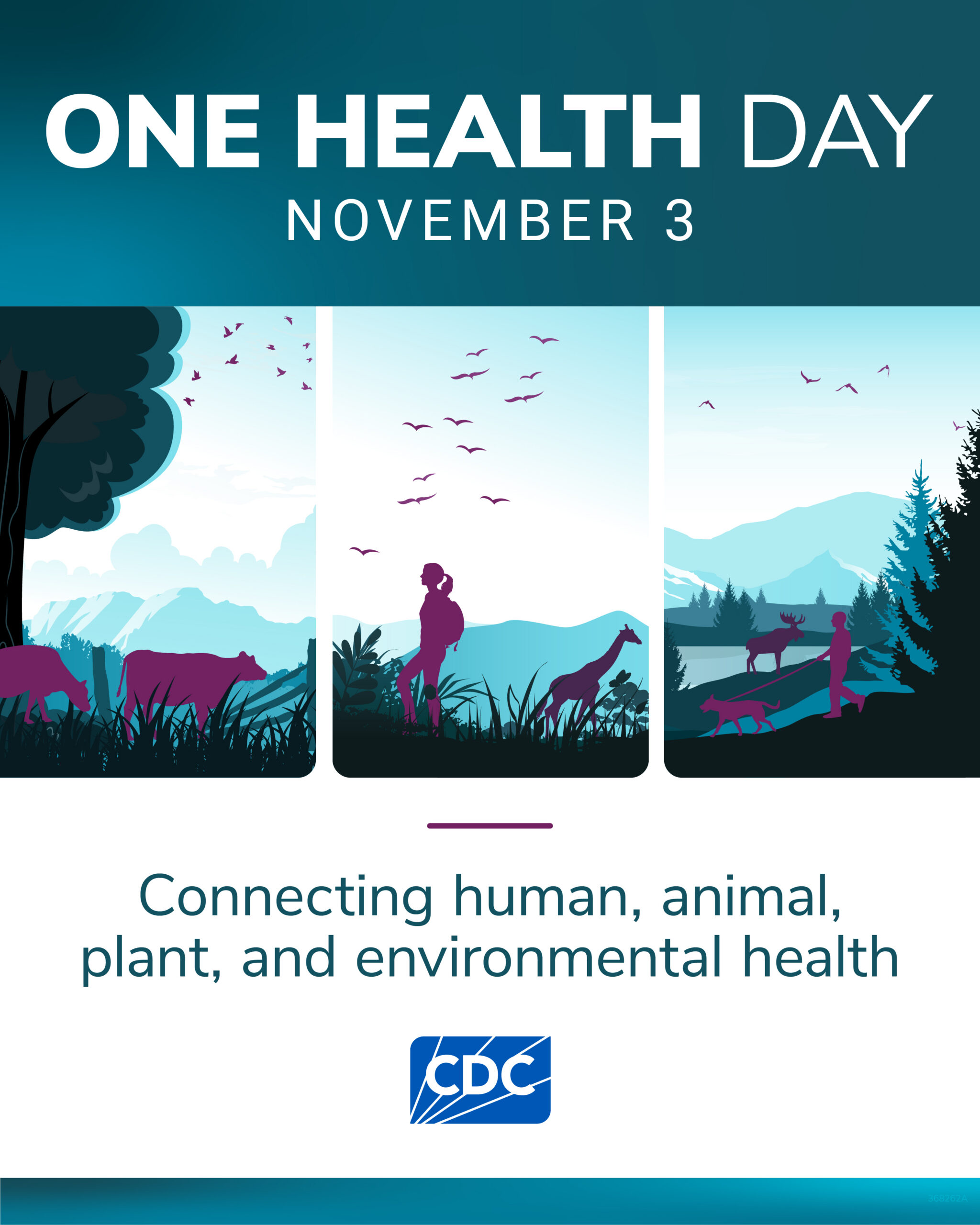 Three panel One Health banner depicting connections with cows grazing, a person hiking by some giraffes and another person walking their dog. Text reads, One Health Day, November 3. Connecting human, animal, plant and environmental health. CDC logo at the bottom.