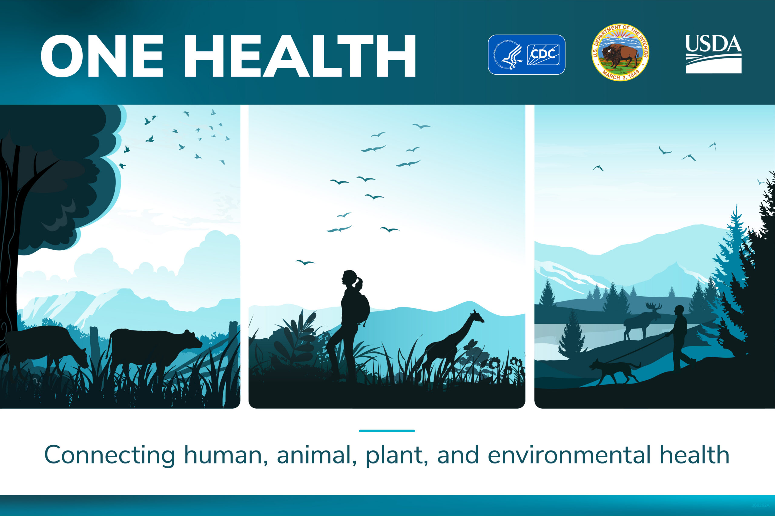 Illustration of a landscape with animals and people interacting in outdoor environments. Text reads: One Health Day November 3 Connecting human, animal, plant, and environmental health: when we protect one, we protect all.