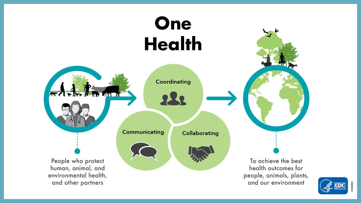 A graphic showing the importance of collaboration, communication, and coordination in One Health. Text reads: People who protect human, animal, and environmental health, and other partners coordinate, collaborate, and communicate to achieve the best health outcomes for people, animals, plants, and our environment. 