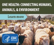 Image of a sheep herd with header text reading "One Health: Connecting Humans, Animals, and the Environment"