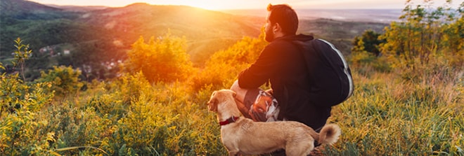 A man with his dog looking into the sunset.