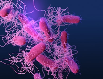 A close up of bacteria