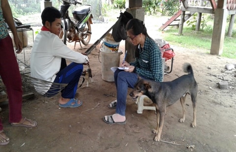 A CAVET graduate conducts an interview on rabies with a dog owner in Kampong Thom province – August 2018 