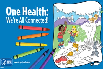 One Health: We're All Connected! Coloring Book