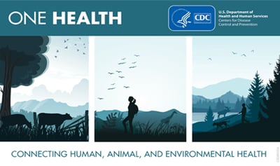 One Health Day Graphic, Connecting Human, Animal, and Environmental Health