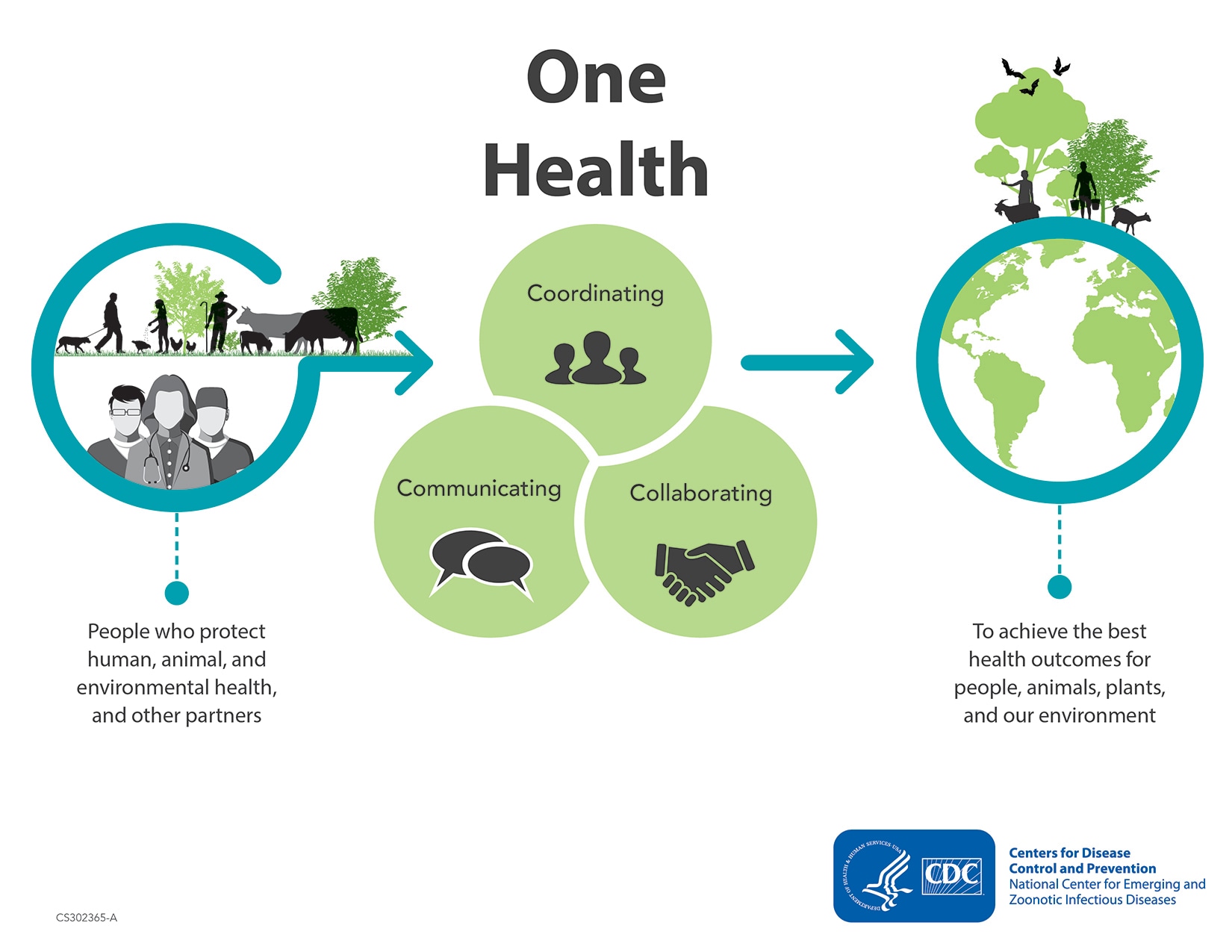 One Health Definition Large Graphic