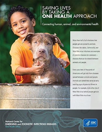 One Health fact sheet cover. Boy and a dog are shown. Text reads: Saving Lives by Taking a One Health Approach