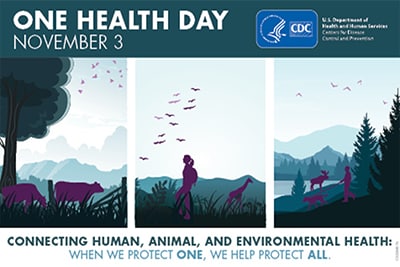 One Health Day November 3