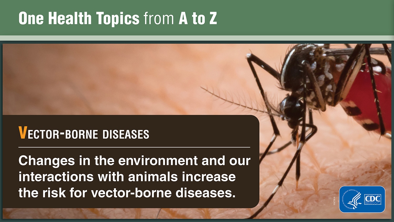 One Health Topics from A to Z explaining Vector-borne Diseases