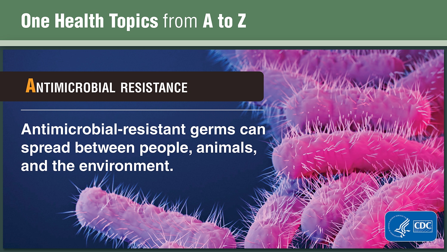 One Health Topics from A to Z explaining Antimicrobial Resistance
