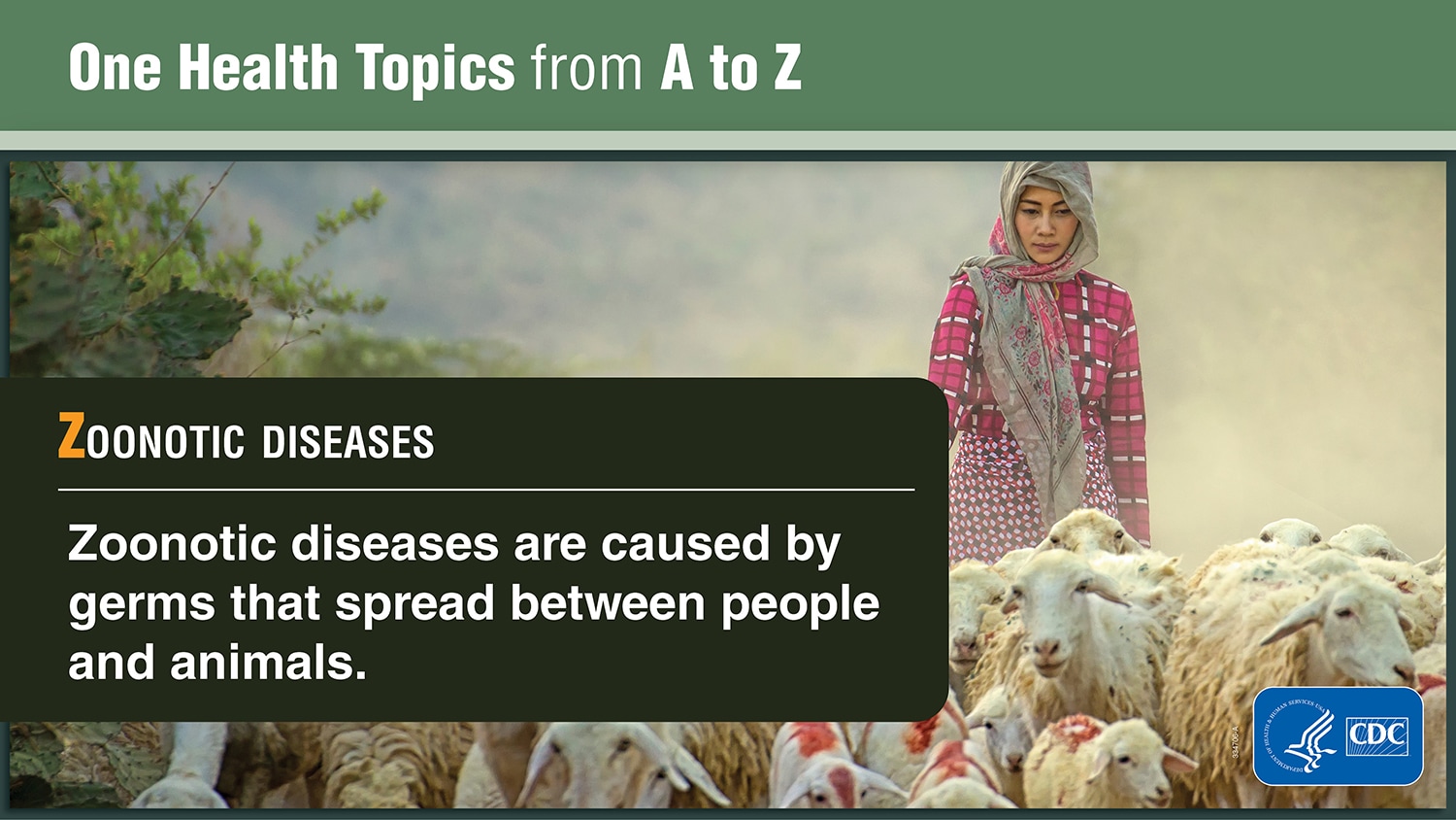 One Health Topics from A to Z explaining Zoonotic Diseases