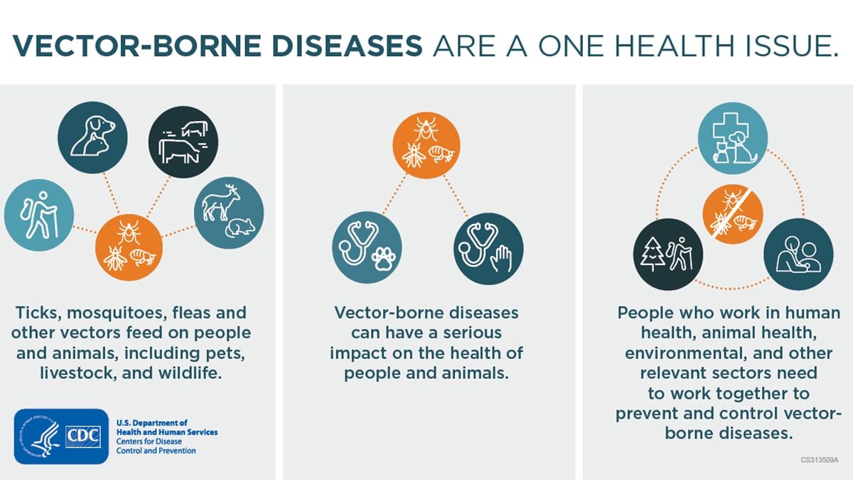 Vector-Borne Diseases Are A One Health Issue banner
