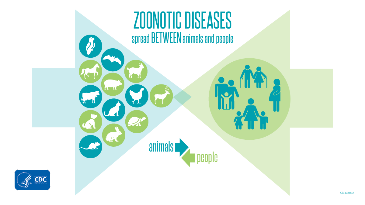 Zoonotic Diseases Spread Between Animals and People banner for twitter