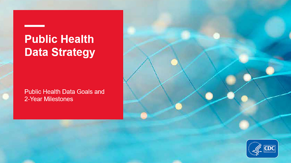 Public Health Data Strategy, public health data goals and two-year milestones