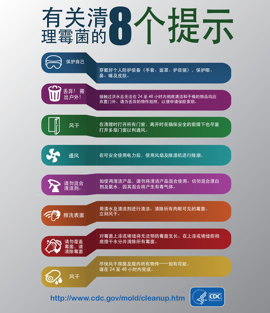 Mold Infographic Chinese