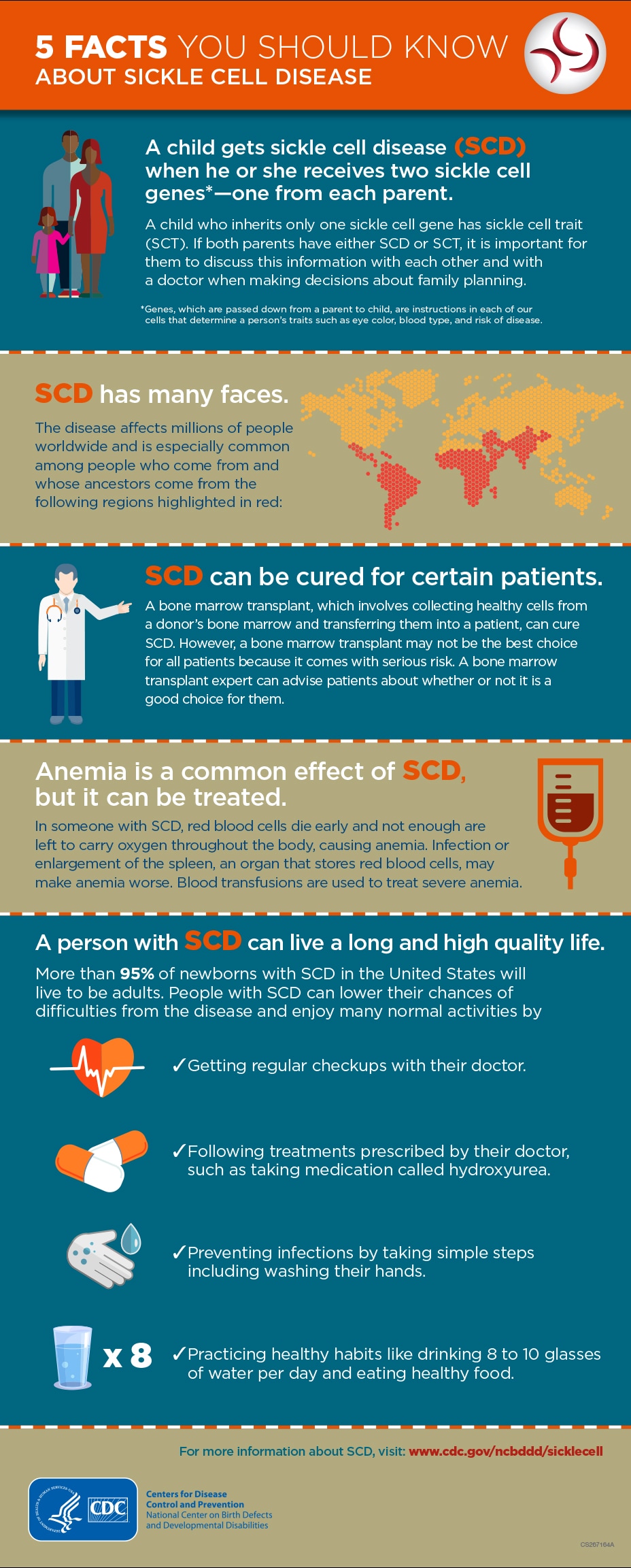 sickle cell infographic