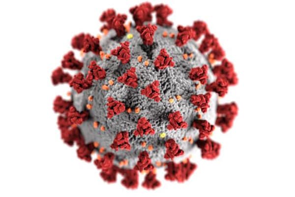 This illustration, created at the CDC, reveals ultrastructural morphology exhibited by coronaviruses