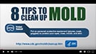 8 Tips To Clean Up Mold