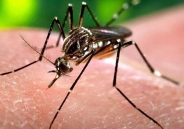 Rapid Response Teams Help States Combat Zika