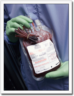 An image of a bag of recently donated blood being held by a gloved person.