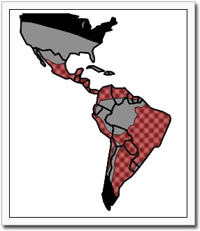 A map highlighting the countries in which Chagas is endemic. The text describes the map.