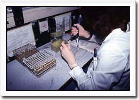 Image of a person performing serology on a sample.