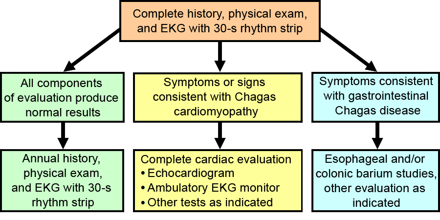 Preceeding text described this flowchart in detail.