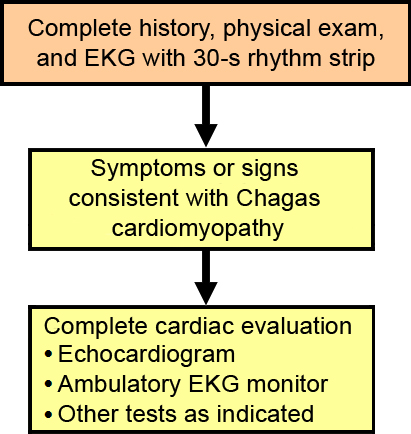 This image is the part of the flowchart that deals with patients with signs of Chagas cardiomyopathy. The text explains and expands upon the image and a full explaination was given on page 8.