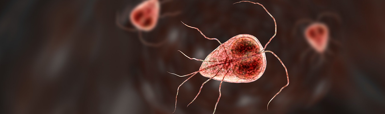 how long does giardia live on surfaces