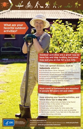 Babesiosis Gardening Poster