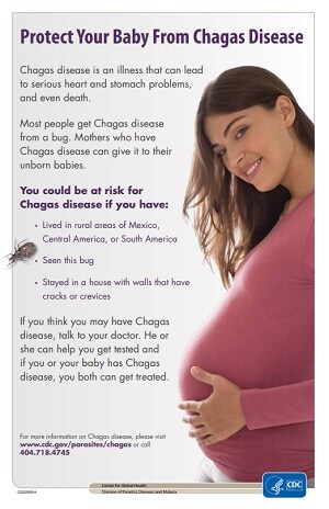 Poster: Protect Your Baby From Chagas Disease
