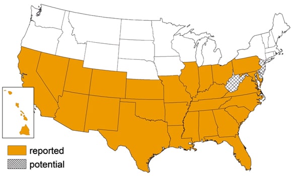 A map of the United States showing where Triatomine bugs have been reported in the United States and where there are potential for Triatomine bugs to exist. Reported: HI, CA, NV, NM, AZ, UT, KS OK, TX, MO, AR, LA, IL, KY, TN, MS, AL, PA, MD, VA, NC, SC, GA, and FL. Potential: WV, DE, and NJ.