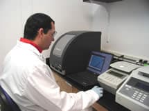 CDC scientist reviews real-time PCR results