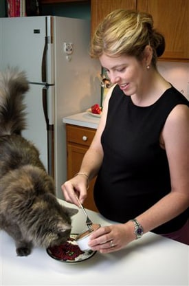 Why is Cat Litter Bad During Pregnancy? 