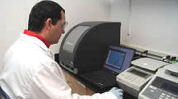 CDC scientist reviews real-time PCR results