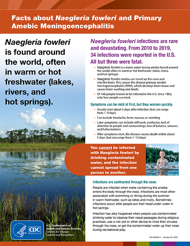 Facts about Naegleria fowleri and Primary Amebic Meningoencephalitis