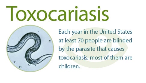 Cdc zoonózisos paraziták