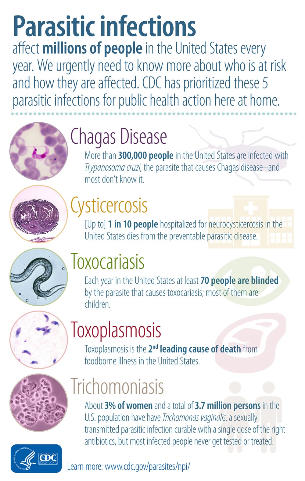 Cdc Parasites Neglected Parasitic Infections Npis In The United States