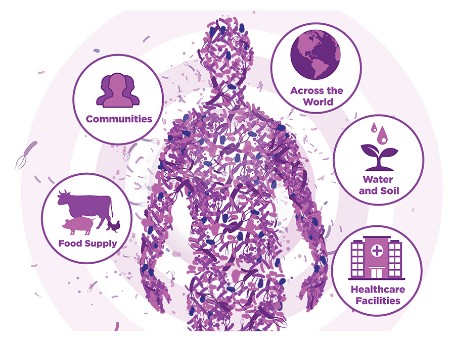 Water and Soil, Food Supply, Healthcare Facilities, Communities, Across the World - Exploring Microbial Ecology to Elevate the Fight Against AR HAIs