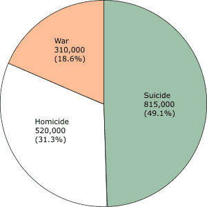 A pie graph divided into three sections: War is 310,000 or 18.6%; Suicide is 815,000 or 49.1%; Homicide is 520,000 or 31.3%.
