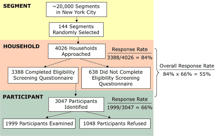 This flowchart shows the sampling design and response rate of the New York City Health and Nutrition Examination Survey, 2004. First, 144 segments were randomly selected from approximately 20,000 segments in New York City. Then, 4026 households were approached (for a response rate of 84% [3388/4026]). 3388 completed the eligibility interview; 638 did not. 3047 participants were identified (for a response rate of 66% [1999/3047]). 1999 participants were examined; 1048 refused. The overall response rate was 55% (84% x 66%).