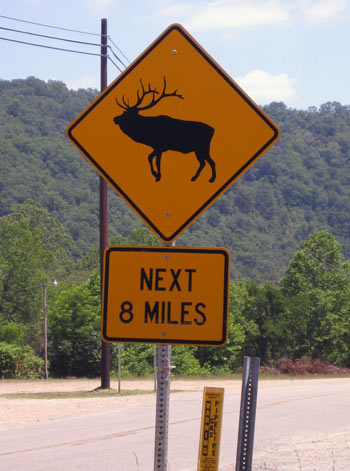 Photo of a road sign warning drivers of roaming elk for the next 8 miles