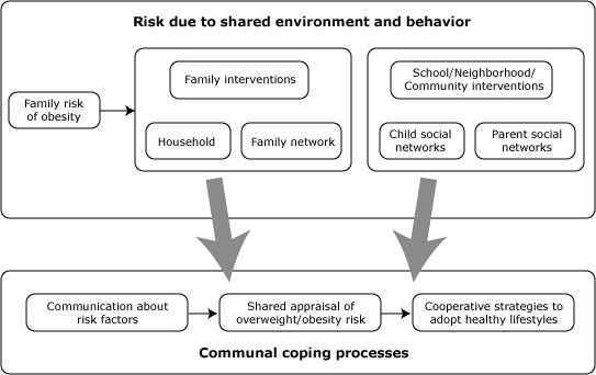 This figure shows two rectangles. The top rectangle is titled, "Risk due to shared environment and behavior," which includes, in one box, family interventions (household, family network) and in the other, community/neighborhood interventions (child social networks, parent social networks). These point to the bottom rectangle, titled, "Communal coping processes" (communication about risk factors, shared appraisal of overweight/obesity risk, and cooperative strategies to adopt healthy lifestyles).