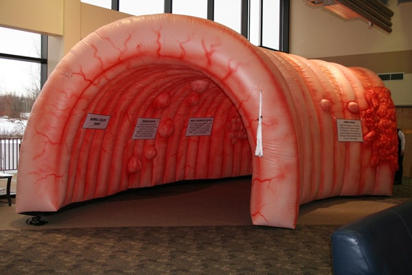 Photo of the inflatable model colon