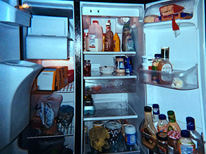 15_0062_t5.jpg Photo of an open refrigerator with food inside