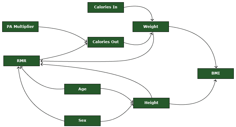A visual representation of the agent-based model describing BMI dynamics in each agent. Abbreviations: BMI, body mass index; PA, physical activity; RMR, resting metabolic rate.