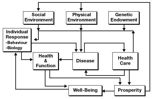 A model published by Evans and Stoddart (1) that accounted for multiple determinants of disease and health and function and defined well-being as the goal of policy. Reproduced with permission from Elsevier and G.L. Stoddart, 1990.