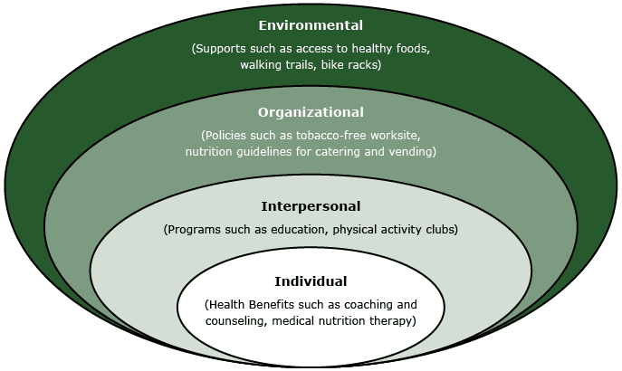 16_0164_01.gif The levels of influence from the socio-ecological model with examples of intervention strategies recommended in Prevention Partners’ WorkHealthy America and the CDC Worksite Health ScoreCard.