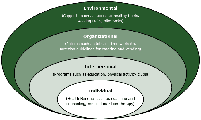 The levels of influence from the socio-ecological model with examples of intervention strategies recommended in Prevention Partners’ WorkHealthy America and the CDC Worksite Health ScoreCard.